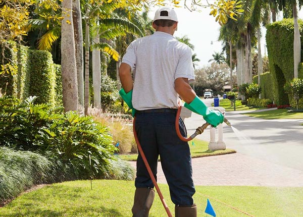 About Milton FL Pest Control Pros